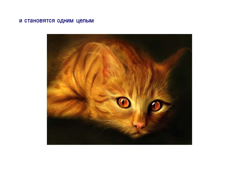 и становятся одним целым